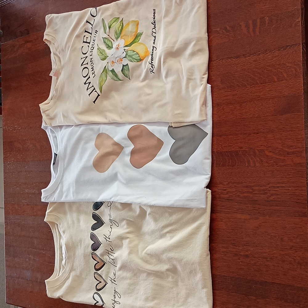 Like New Hearts & Lemon Size 4X T-Shirt Bundle (a100)